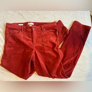 loft red velvet pants size 12 modern skinny